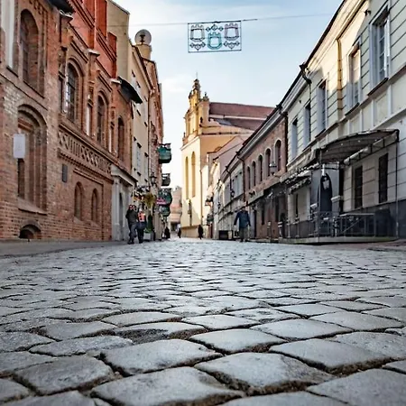 New! Old Town Apt Next To St Annes 아파트 빌뉴스